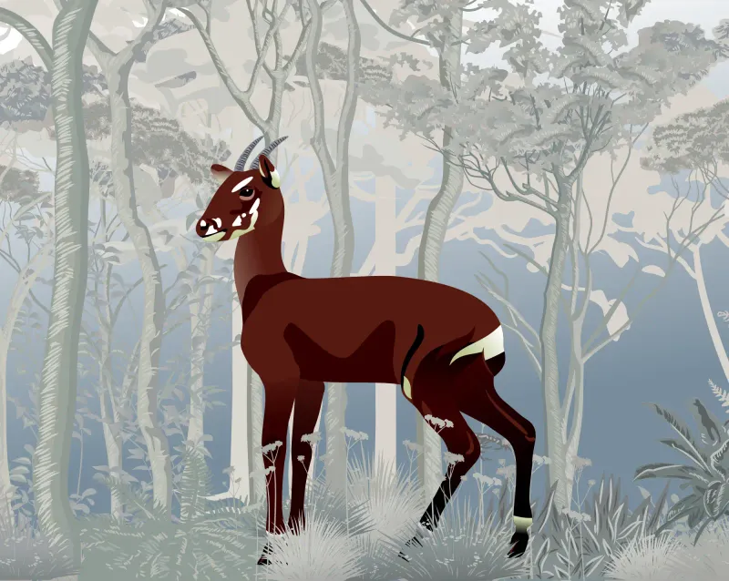 Saola (Asian Unicorn)
