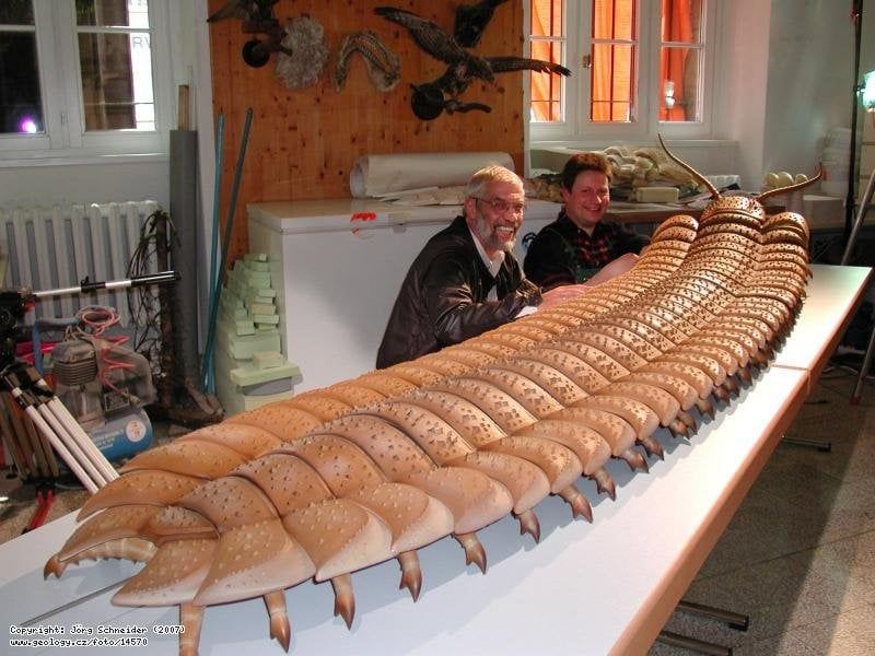 Arthropleura