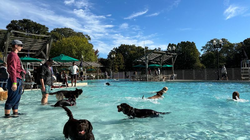 Piedmont Park, Atlanta