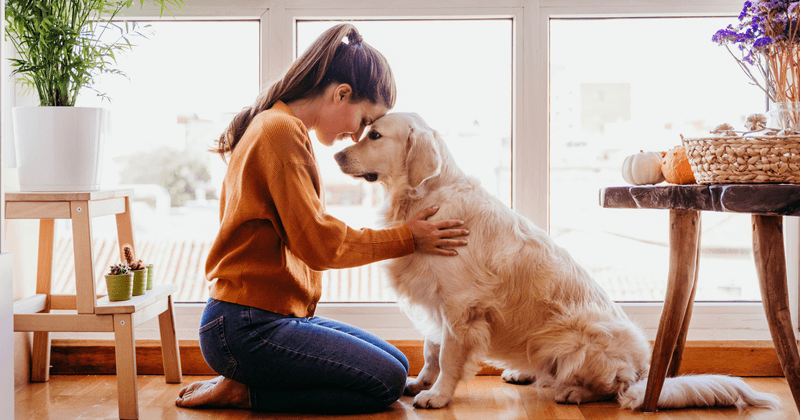 Routine and Responsibility