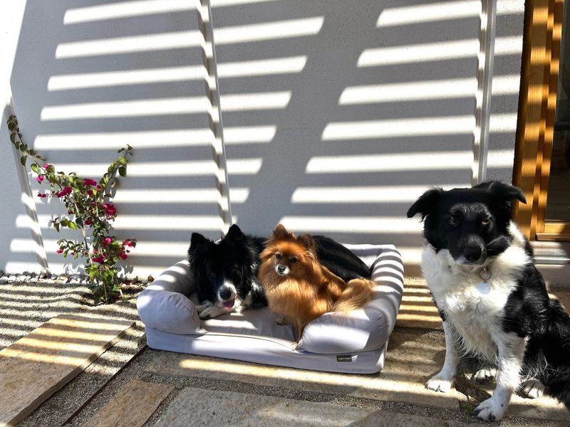 Provide Shade Outdoors