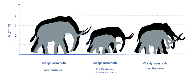 Woolly Mammoth