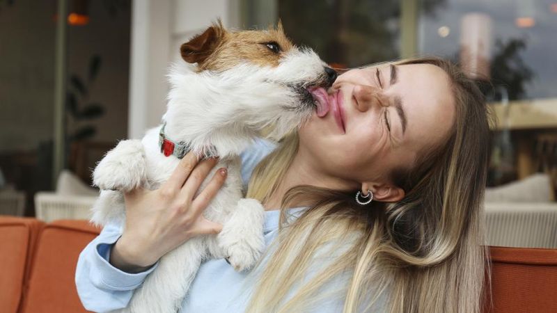 Licking Your Face