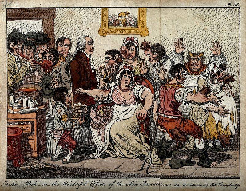 Smallpox-Infected Cow (for vaccination)
