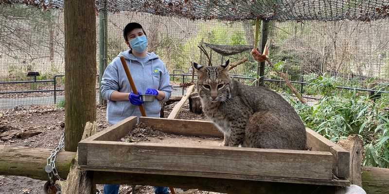 Conservation Efforts