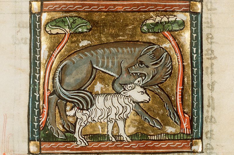 Wolves
