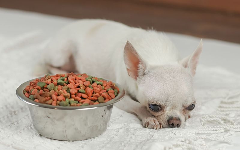 Loss of Appetite