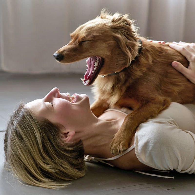 Yawning When You Yawn