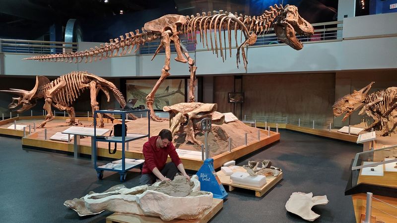 Fossil Re-examination