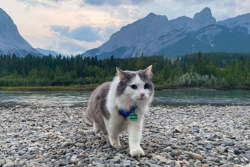 Outdoor Adventures