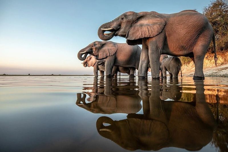 Chobe National Park, Botswana