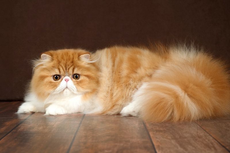 Persian