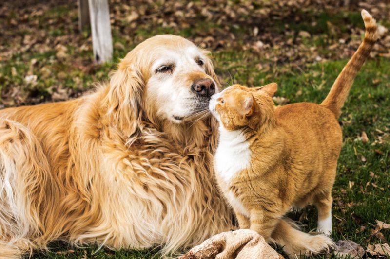 Fred & Ginger