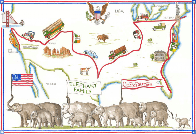 Ancient Migration Paths