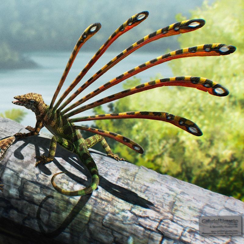 Longisquama