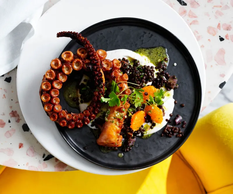 Octopus Cuisine and Delicacies