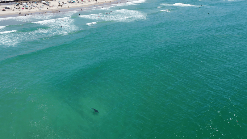 Huntington Beach, California
