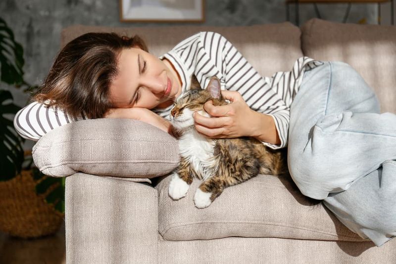 Sensory Comfort
