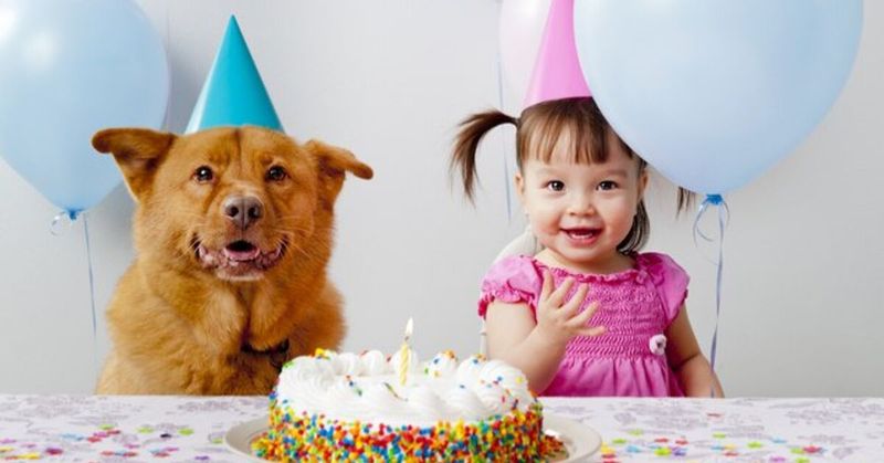 Myth 12: Dogs Age Seven Years for Every Human Year