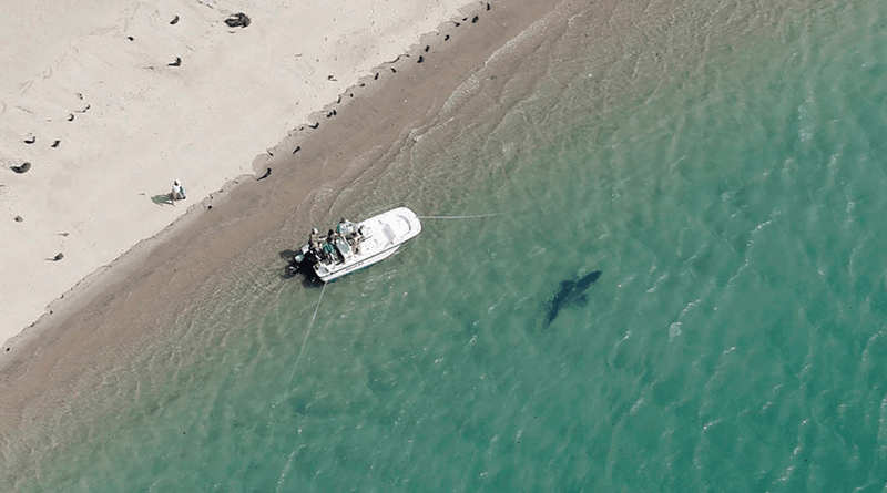 Cape Cod, Massachusetts