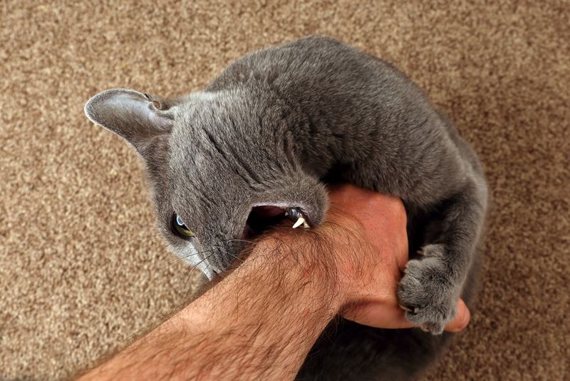 Overstimulating with Attention