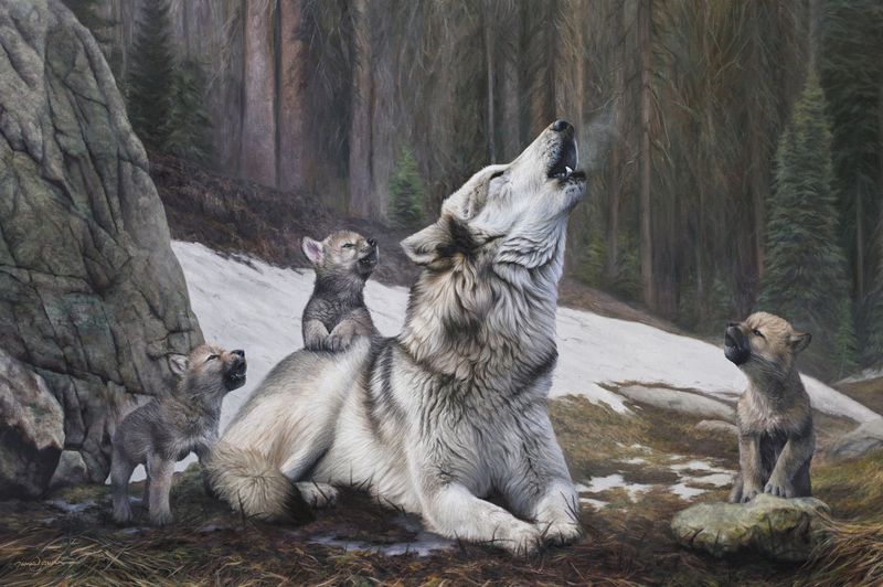 Wolf Mothers