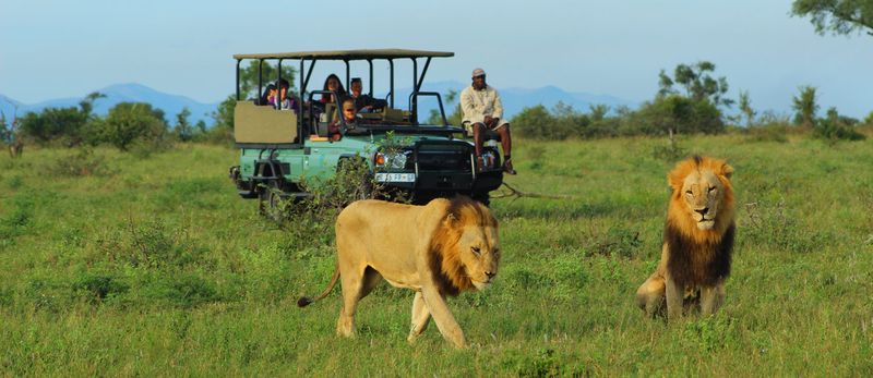 Kruger National Park, South Africa