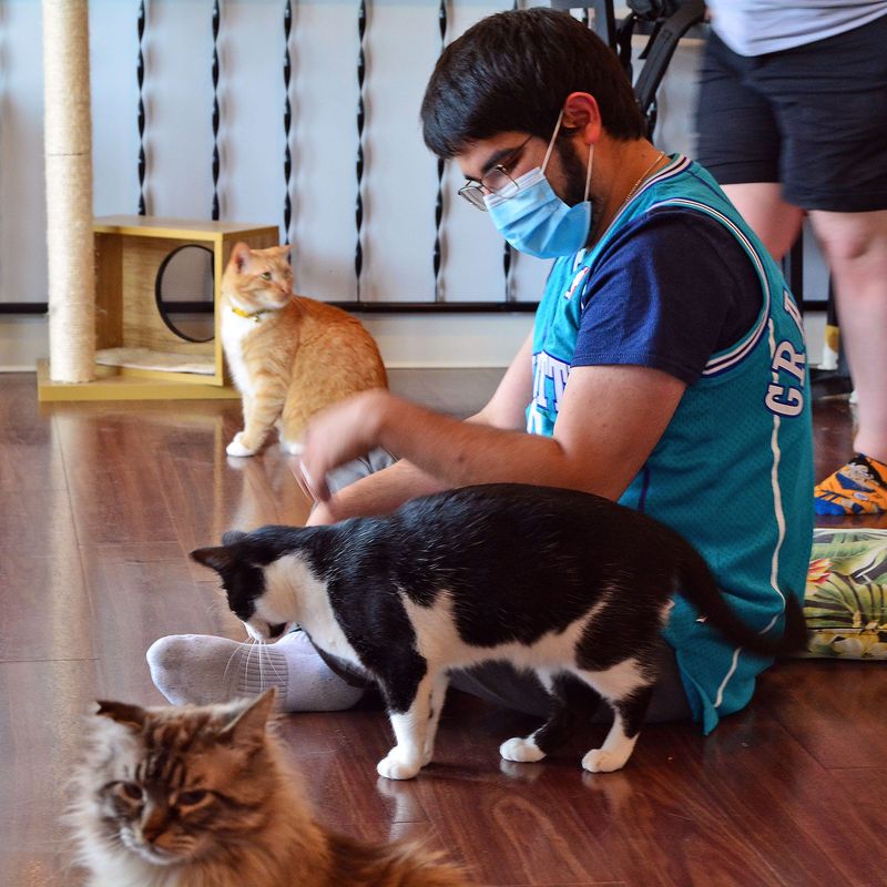 Questionable Adoption Practices