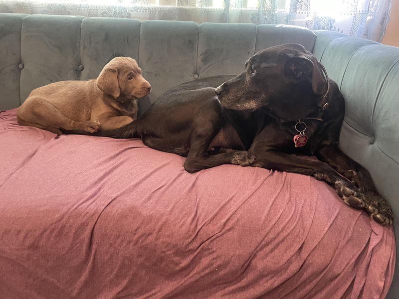 Ignoring Territorial Behavior