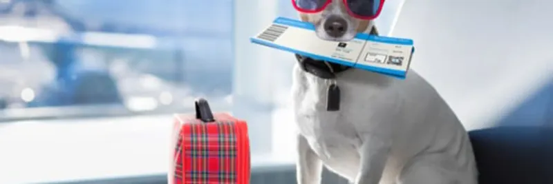 Check Pet Policies