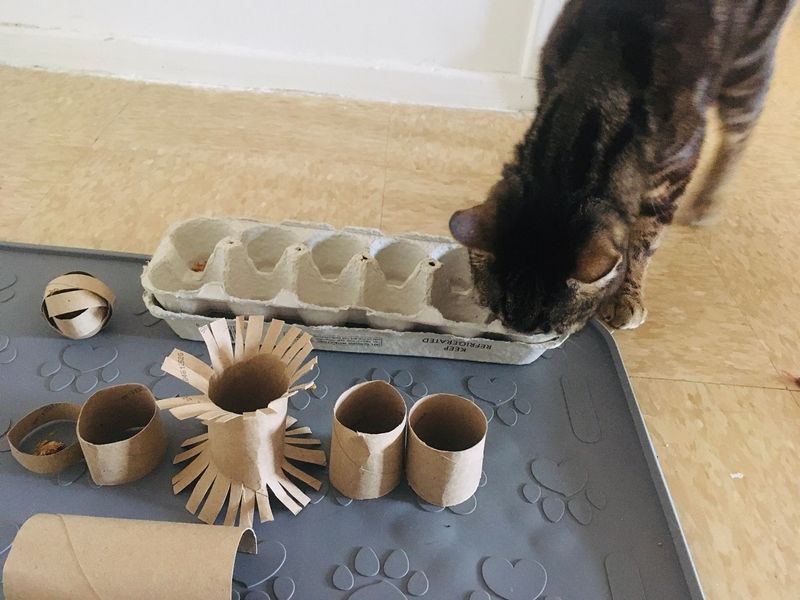Toilet Paper Roll Puzzle