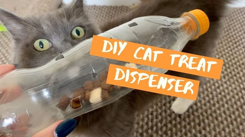 Treat Dispenser
