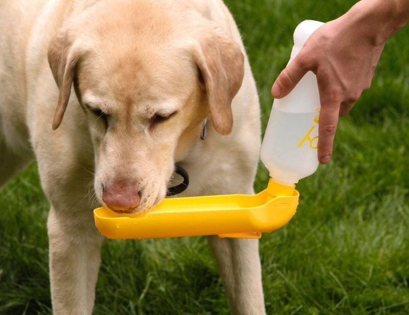 Hydration Importance