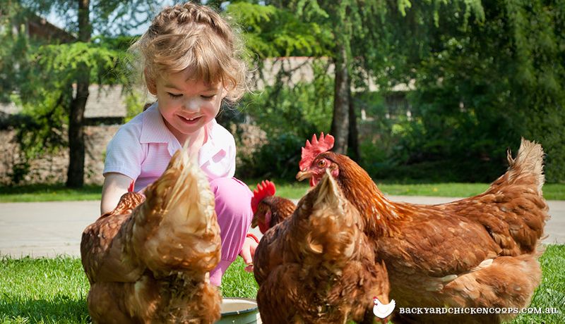 Children's Educational Partners
