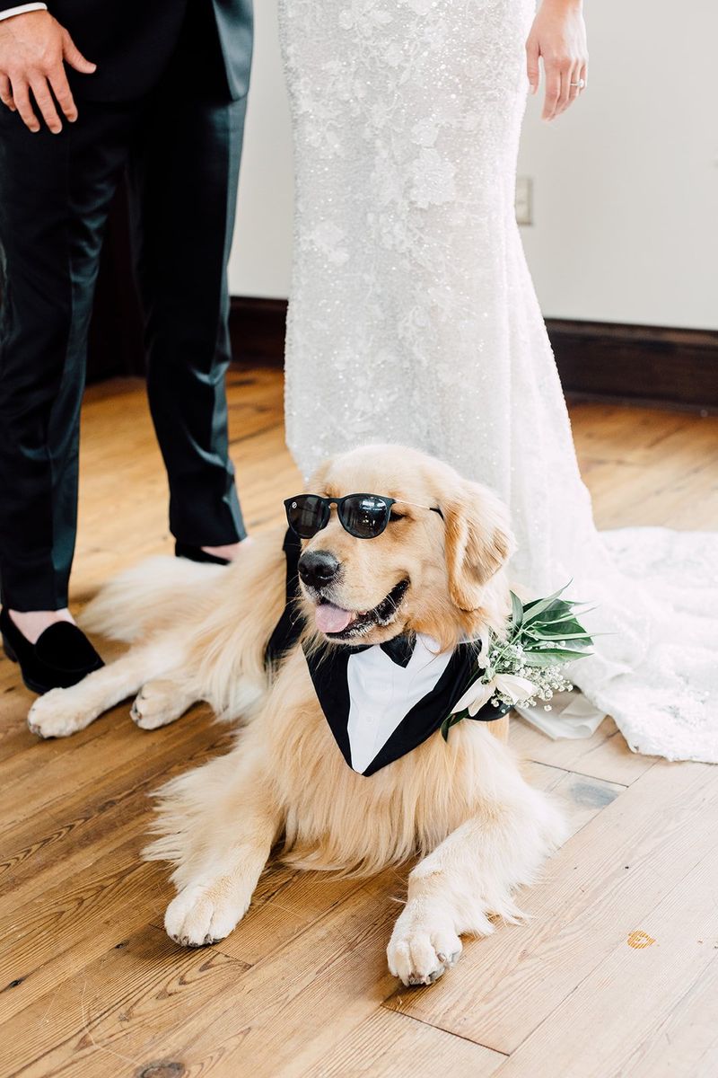 Heartfelt Ceremony Companion