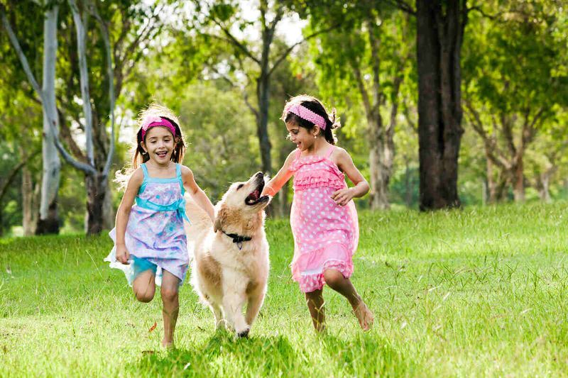 Gentle with Children