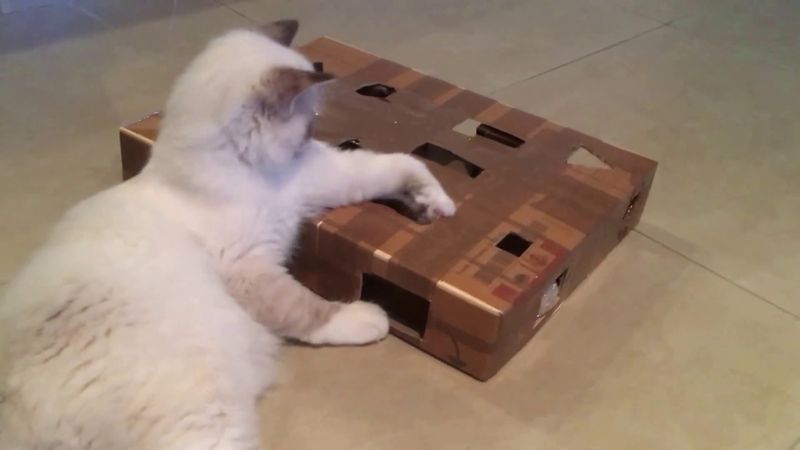 Cardboard Box Maze