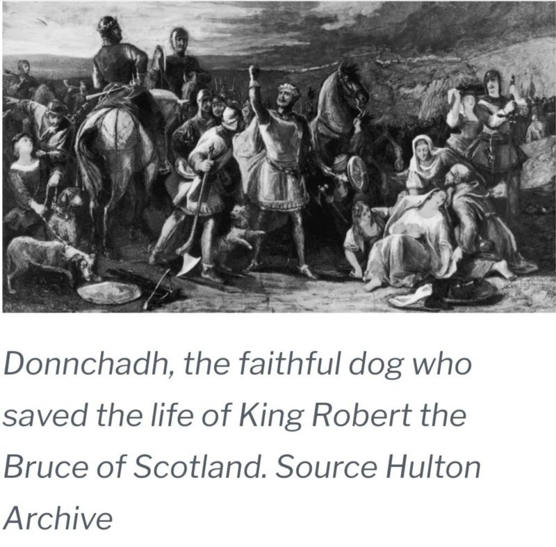 Donnchadh (early 1300s)