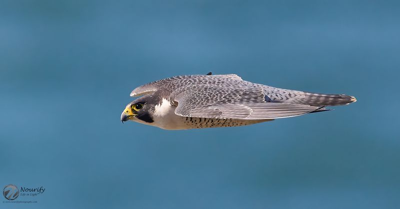 Stealth Approach