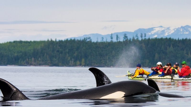 Vancouver Island, Washington