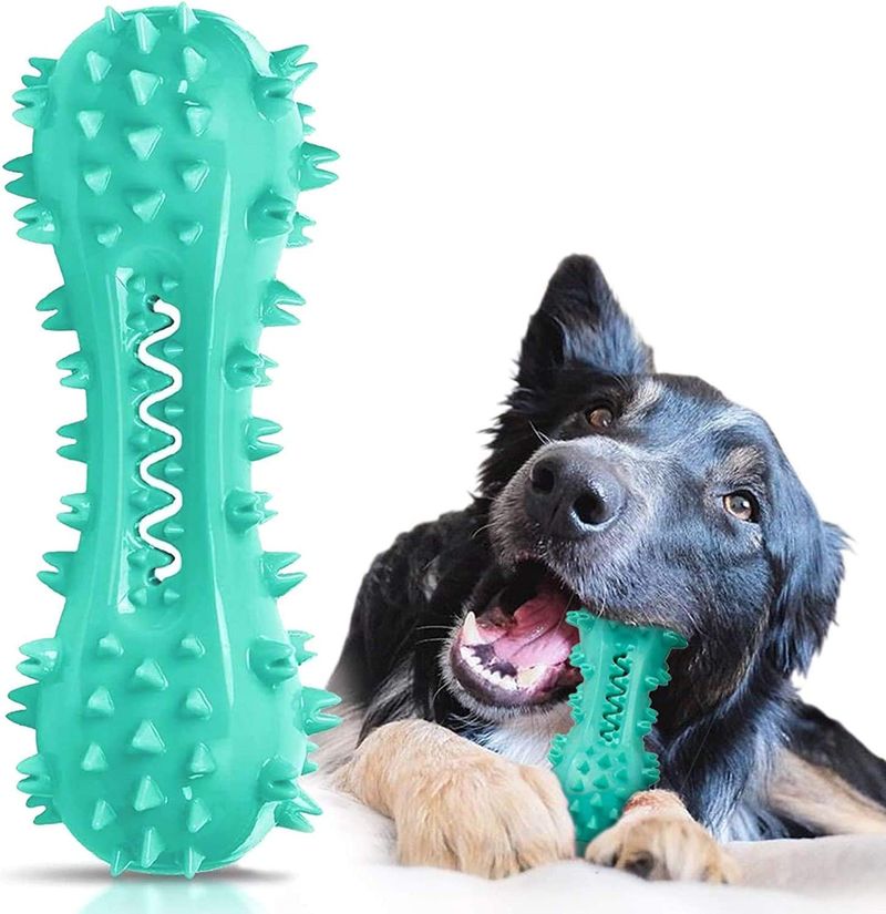 Dental Chews and Toys