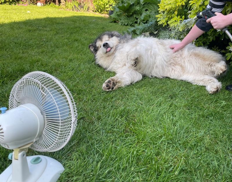 Limit Exercise to Cooler Hours