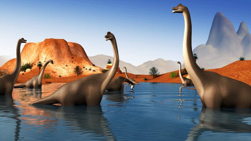 Brachiosaurus Didn’t Rear Up on Hind Legs