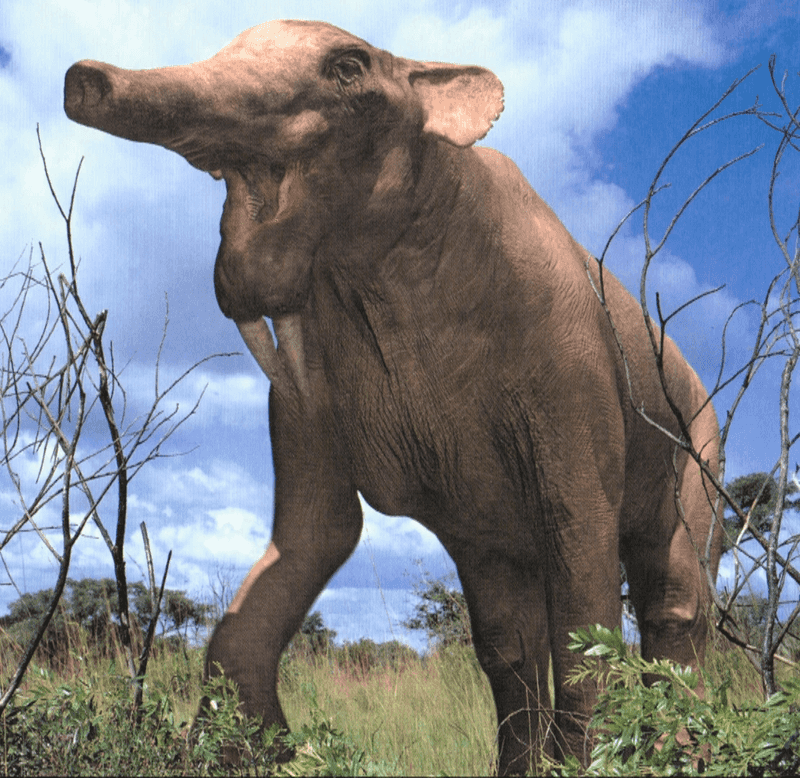 Deinotherium