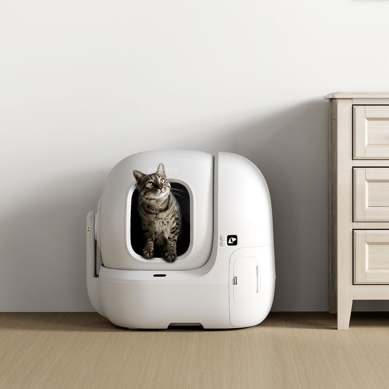 Automatic Litter Box: Hygiene