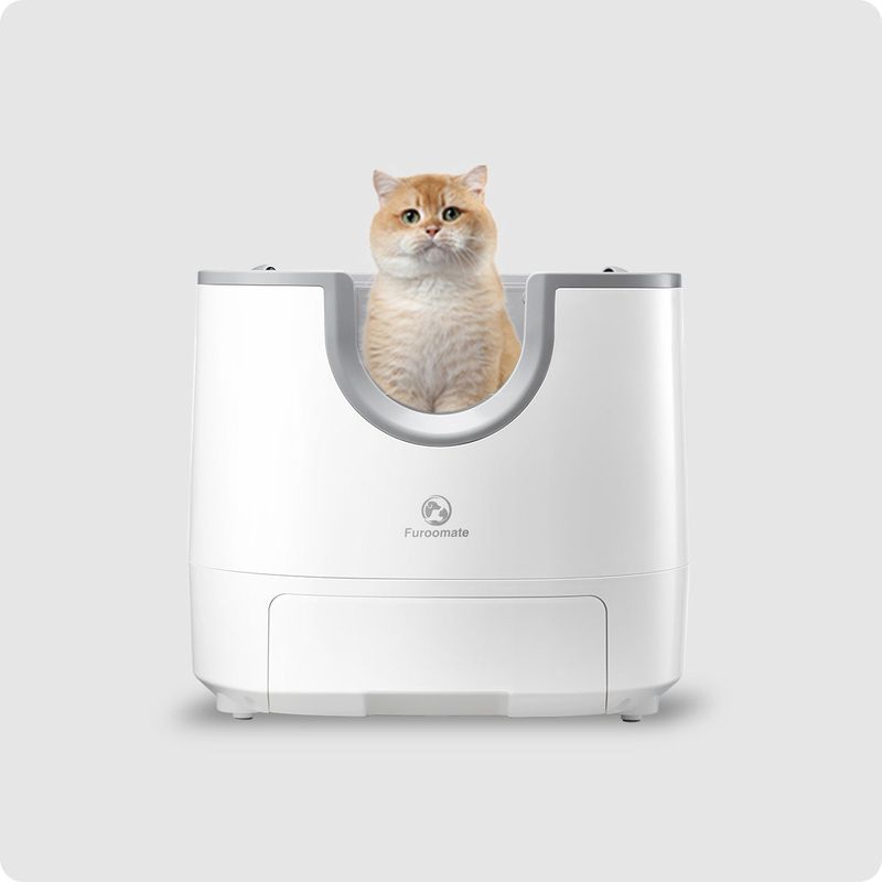Automatic Litter Box: Technology Dependence