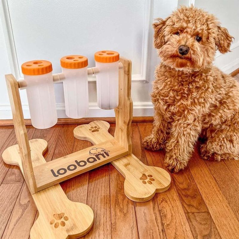 Interactive Food Dispensing Toys