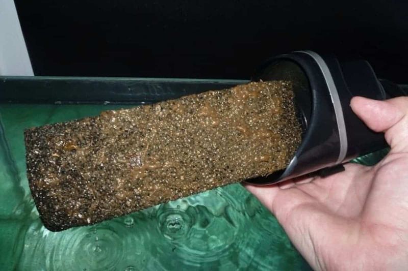 Filter Maintenance