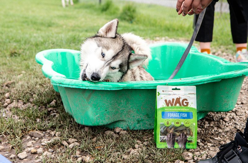 Enrich Their Environment