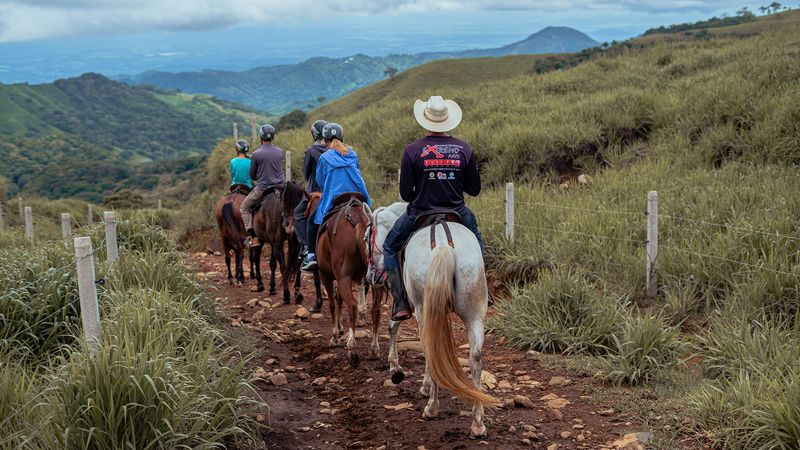 Mounted Tour Guides